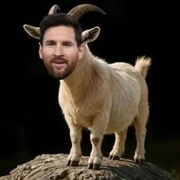 The White Goat