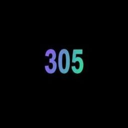 305 logo