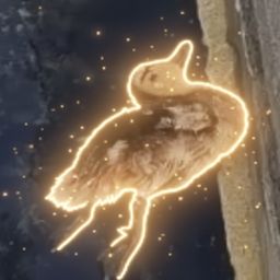 Justice For Duck