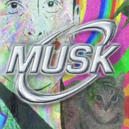 TeslaSpaceXAI