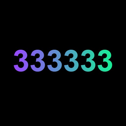 333333